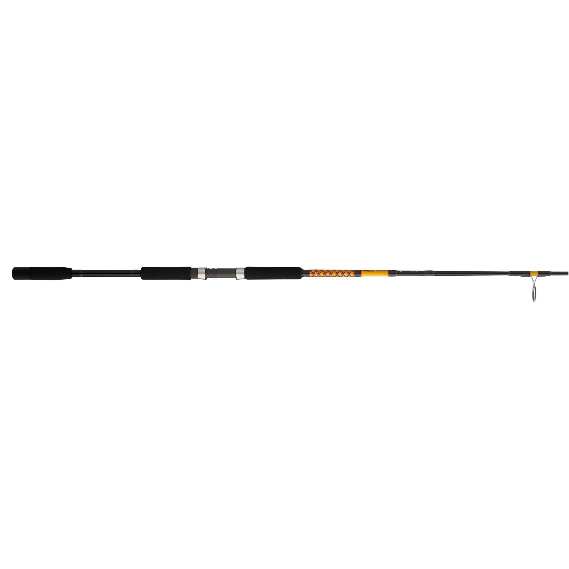 Bigwater 2-Piece Spinning Rod